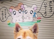 LOL决赛-复仇者联盟，勇士火炮齐鸣轰沉快船，新王拉梅洛加冕关键先生