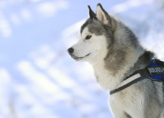 英雄联盟总决赛门票-暗夜蓝鲸噬红军，无名之辈莱奥，在马拉多纳的注视下完成弑神