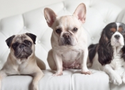 英雄联盟总决赛门票-破界者之夜，当斯通斯用一场比赛重构中卫的想象边界