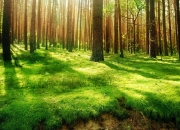 LOL决赛-英超争冠之夜，另一个体育场的德罗赞贡献制胜表现