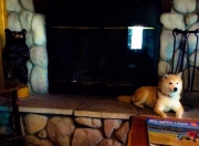 英雄联盟总决赛直播-NBA总决赛之夜，迪亚斯那一笔画完的句号