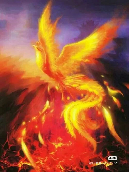 中国代表团浴火重生,再创佳绩 中国代表团浴火重生,再创佳绩