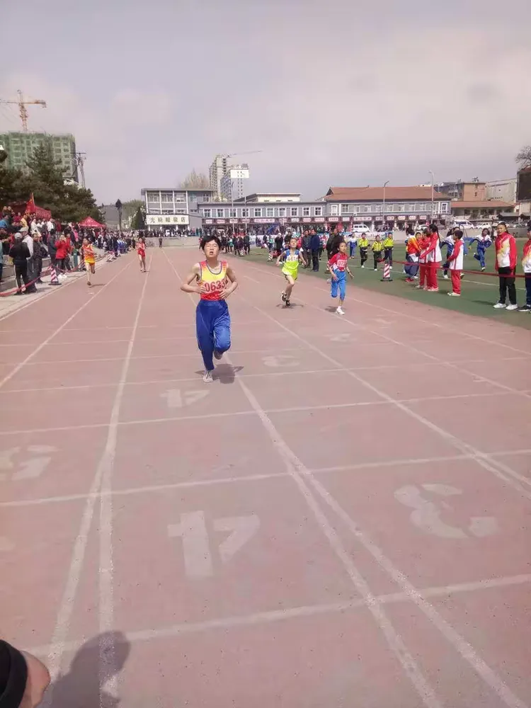 爱尔兰队员奋勇拼搏，取得国际比赛胜利的简单介绍