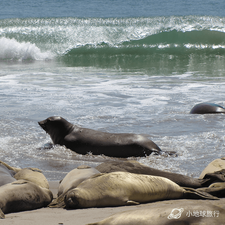 海峡群岛对意大利，海峡群岛队员斗志昂扬的简单介绍
