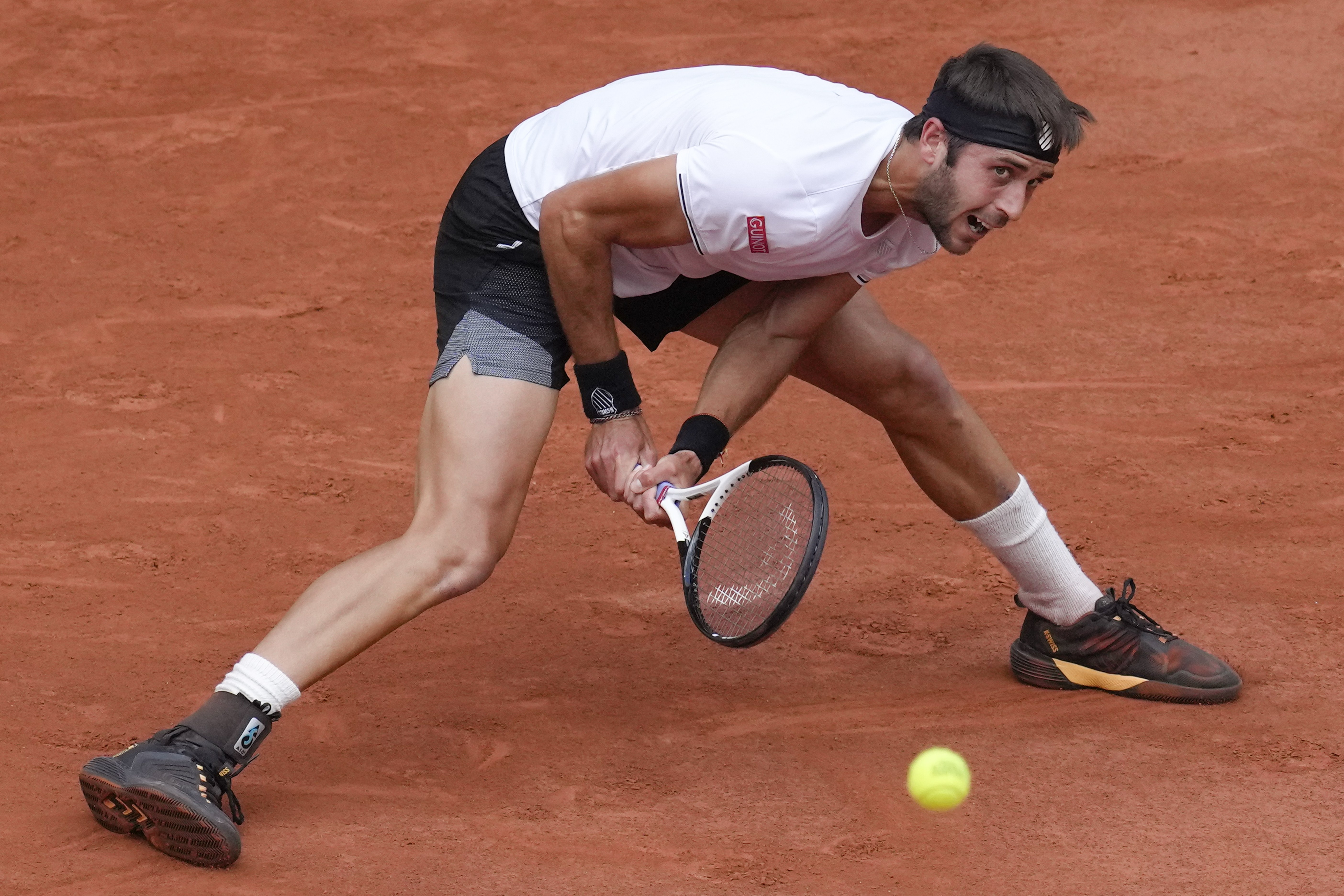 戴维斯杯横扫法网，兹维列夫高光表现