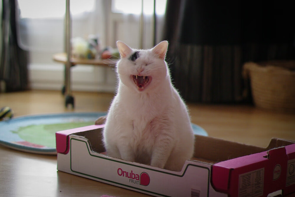 镀金枷锁与幽灵舞步,当美国资本压城,莫德里奇如何以时光之刃破局