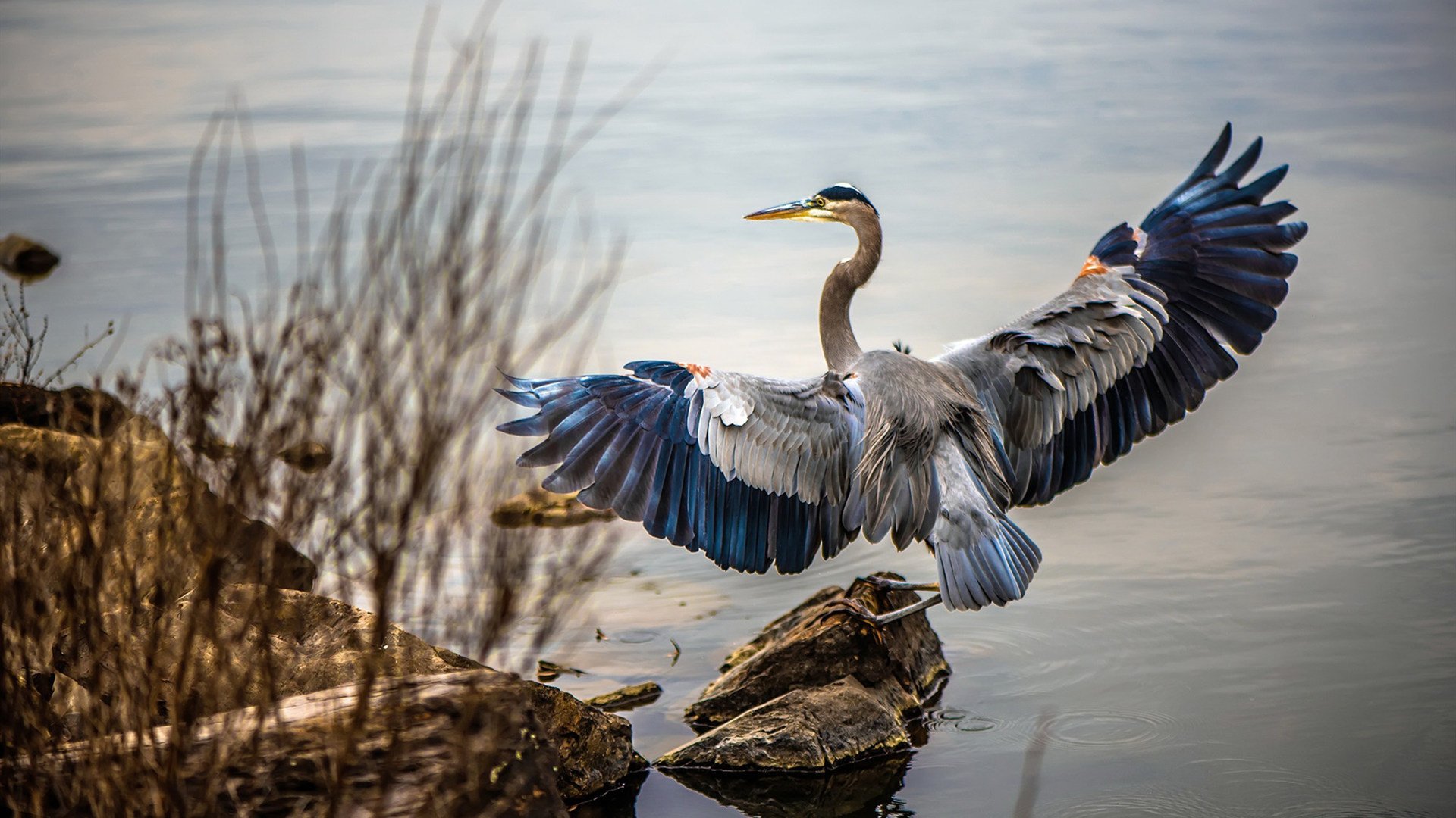 奥运周期关键战之夜,京多安以一肩之力,扛起全队的星辰与未来