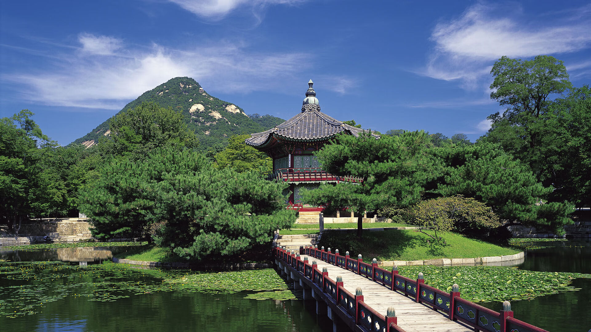 看不见的步行者,当库里以沉默的稳健,走过纽约的轰鸣