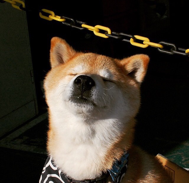 跨维度篮球对决,AI时代的吉林队如何用东方智慧在加时赛中降维打击奥兰多魔术