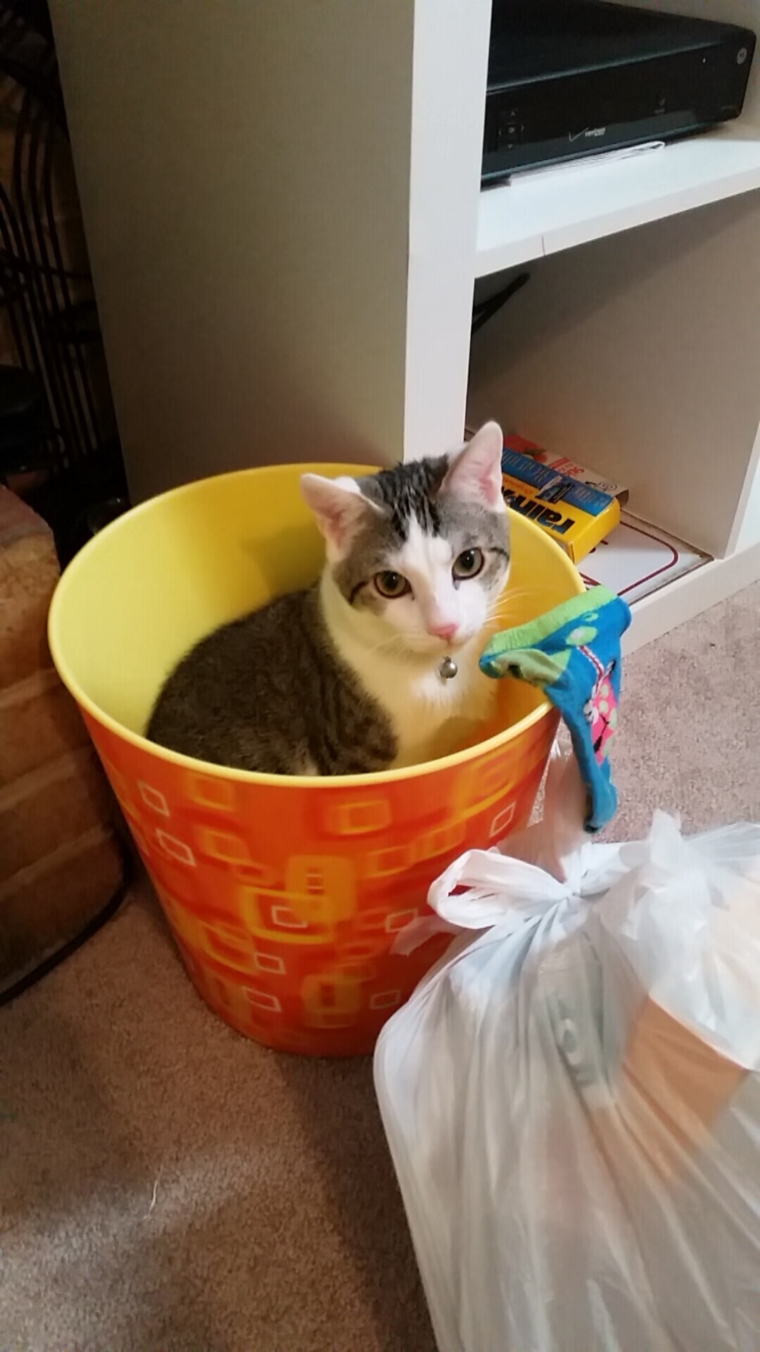 当拉文身披开拓者战袍,一场跨时空的总决赛接管狂想