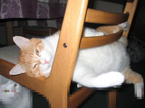 悬念已死？从库里秒杀到火箭血战，篮球因不可预测而永恒