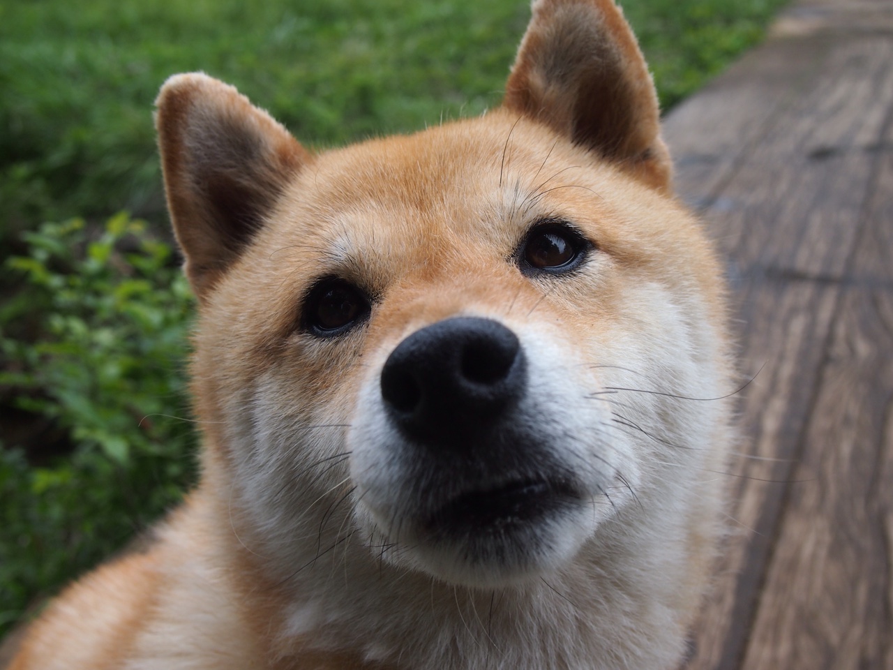 起风了，当内马尔的彩虹弧线划过彩虹之国