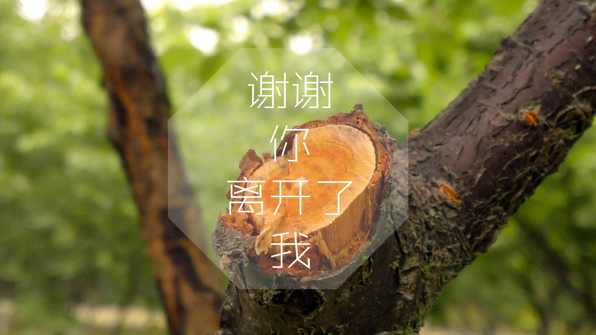 南美双雄的宿命对决,加维撕裂乌拉圭防线,智利在2026世界杯F组书写唯一答案